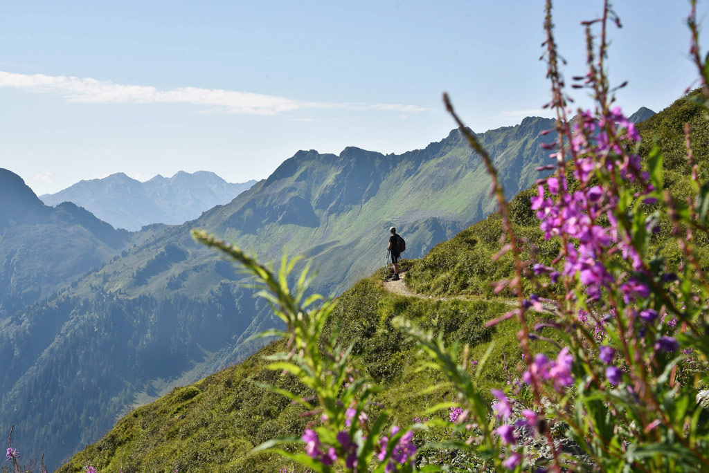 Wanderurlaub im Alpbachtal